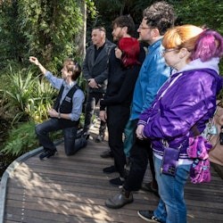 Museu de Melbourne: visita guiada - 1